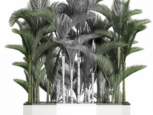 palm in a white pot for the interior 671 Model 3D