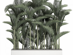 palm in a white pot for the interior 671 Model 3D