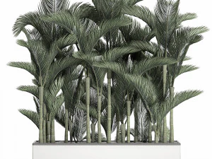 palm in a white pot for the interior 671 3D Model