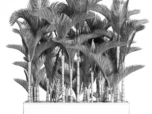 palm in a white pot for the interior 671 3D Model