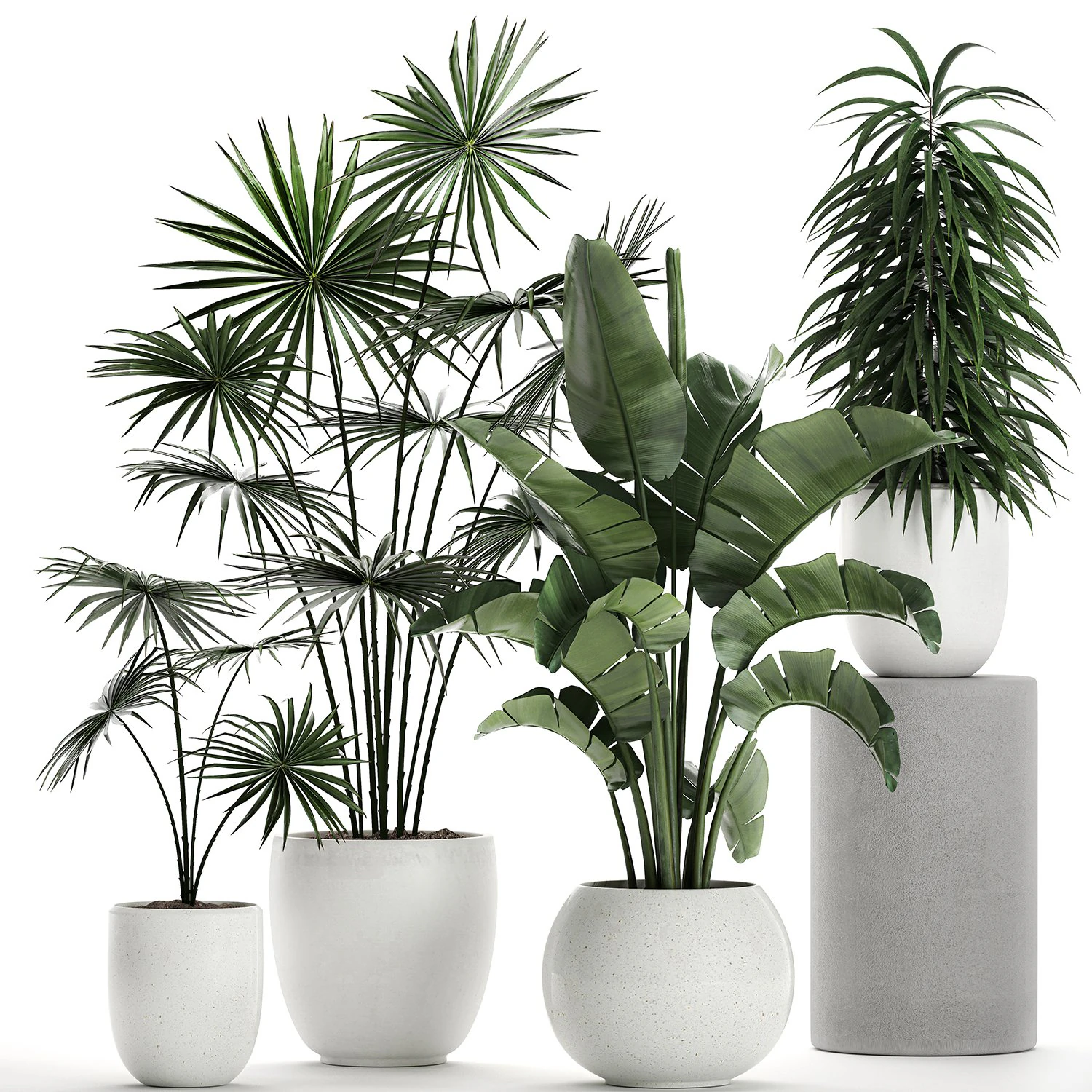 plants in a white pot for the interior 672 3D Model .c4d .max .obj .3ds .fbx .stl .blend 