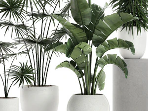plants in a white pot for the interior 672 3D Model