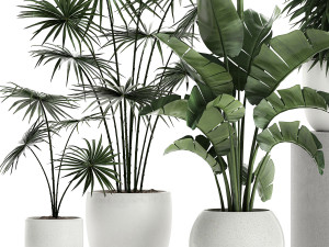 plants in a white pot for the interior 672 3D Model
