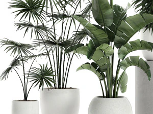plants in a white pot for the interior 672 3D Model