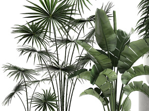 plants in a white pot for the interior 672 3D Model