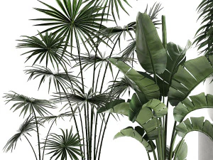 plants in a white pot for the interior 672 3D Model