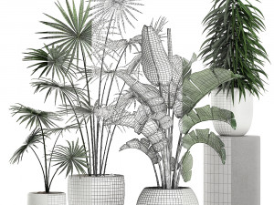 plants in a white pot for the interior 672 3D Model