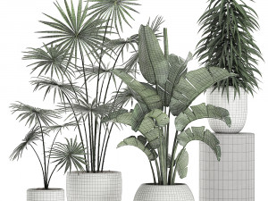 plants in a white pot for the interior 672 3D Model