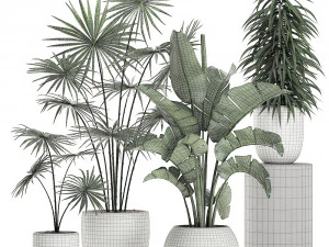 plants in a white pot for the interior 672 3D Model