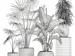 plants in a white pot for the interior 672 3D Model