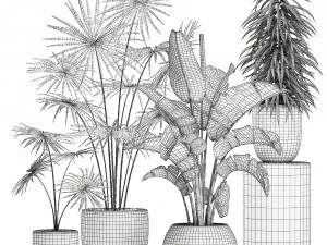 plants in a white pot for the interior 672 3D Model