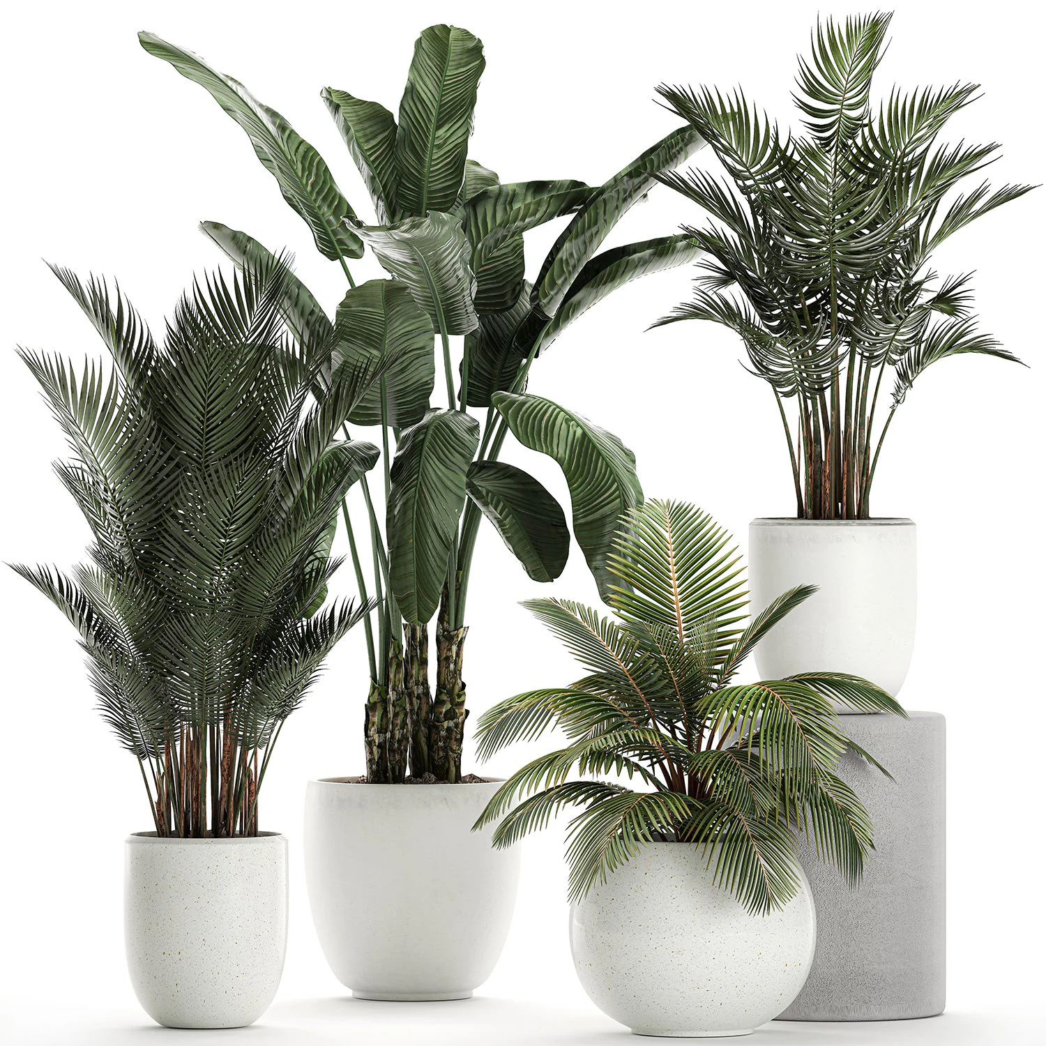 plants in a white pot for the interior 673 3D Model .c4d .max .obj .3ds .fbx .stl .blend 