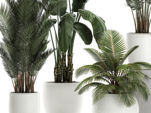 plants in a white pot for the interior 673 Modello 3D