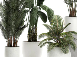 plants in a white pot for the interior 673 3D Model