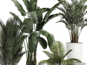 plants in a white pot for the interior 673 Modello 3D