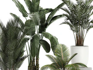 plants in a white pot for the interior 673 3D Model