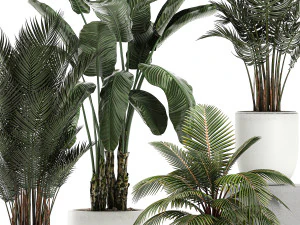 plants in a white pot for the interior 673 3D Model