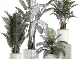 plants in a white pot for the interior 673 Modello 3D