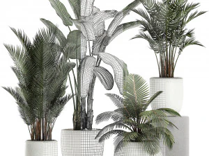 plants in a white pot for the interior 673 3D Model