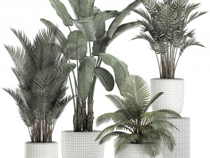 plants in a white pot for the interior 673 Modello 3D