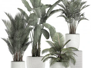 plants in a white pot for the interior 673 3D Model
