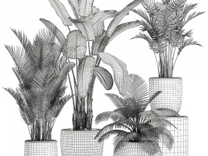 plants in a white pot for the interior 673 Modello 3D