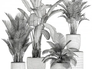 plants in a white pot for the interior 673 3D Model
