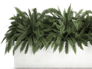 fern in a white pot for the interior 674 3D Model