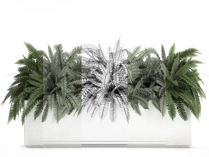 fern in a white pot for the interior 674 3D Model