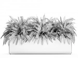 fern in a white pot for the interior 674 3D Model
