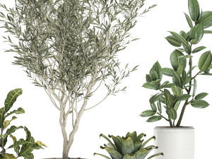 plants in a white pot for the interior 673 3D Модель