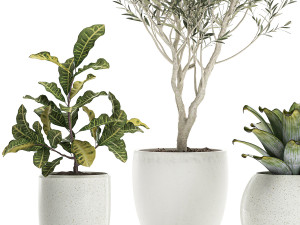 plants in a white pot for the interior 673 3D Модель