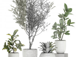 plants in a white pot for the interior 673 3D Модель