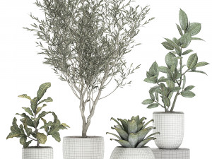 plants in a white pot for the interior 673 3D Модель
