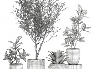 plants in a white pot for the interior 673 3D Модель