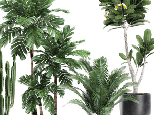 plants in a black pot for the interior 677 Modelo 3D