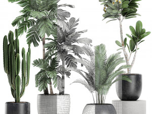 plants in a black pot for the interior 677 Modelo 3D