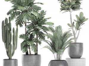 plants in a black pot for the interior 677 Modelo 3D