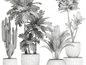 plants in a black pot for the interior 677 Modelo 3D