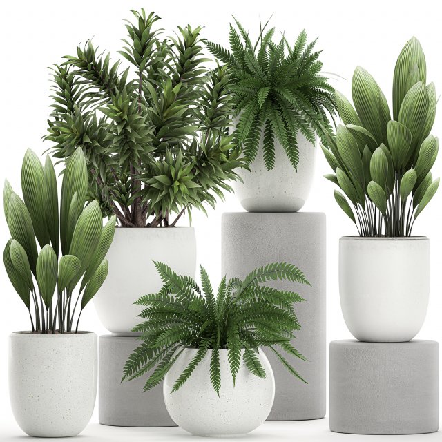plants in a white pot for the interior 680 3D Модель .c4d .max .obj .3ds .fbx .stl .blend 