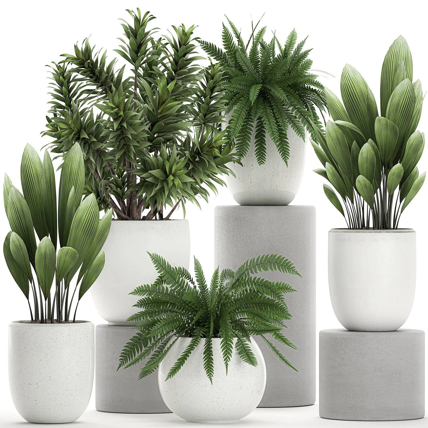 plants in a white pot for the interior 680 3D Model .c4d .max .obj .3ds .fbx .stl .blend 