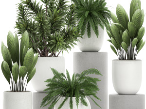 plants in a white pot for the interior 680 3D Model