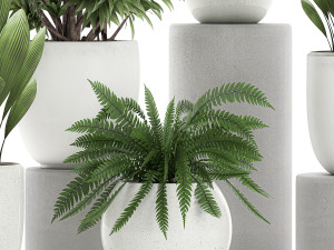 plants in a white pot for the interior 680 3D Модель