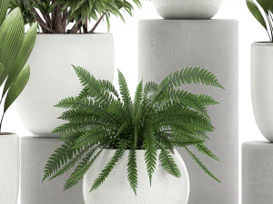 plants in a white pot for the interior 680 3D Model