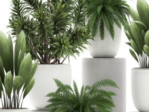 plants in a white pot for the interior 680 3D Модель