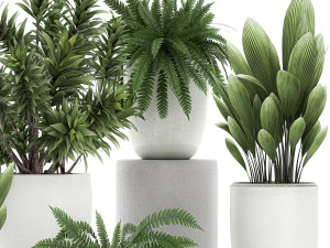 plants in a white pot for the interior 680 3D Model