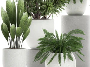 plants in a white pot for the interior 680 3D Model