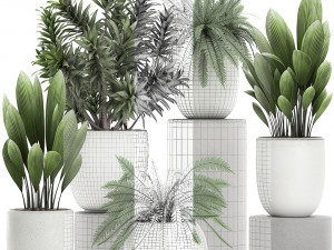 plants in a white pot for the interior 680 3D Модель