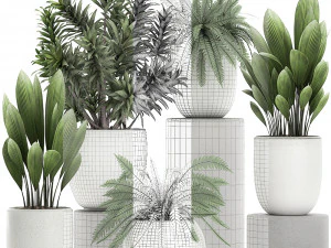 plants in a white pot for the interior 680 3D Model