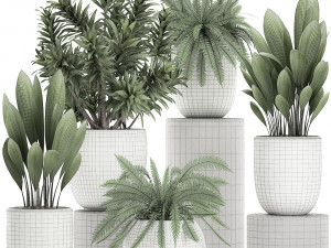 plants in a white pot for the interior 680 3D Модель